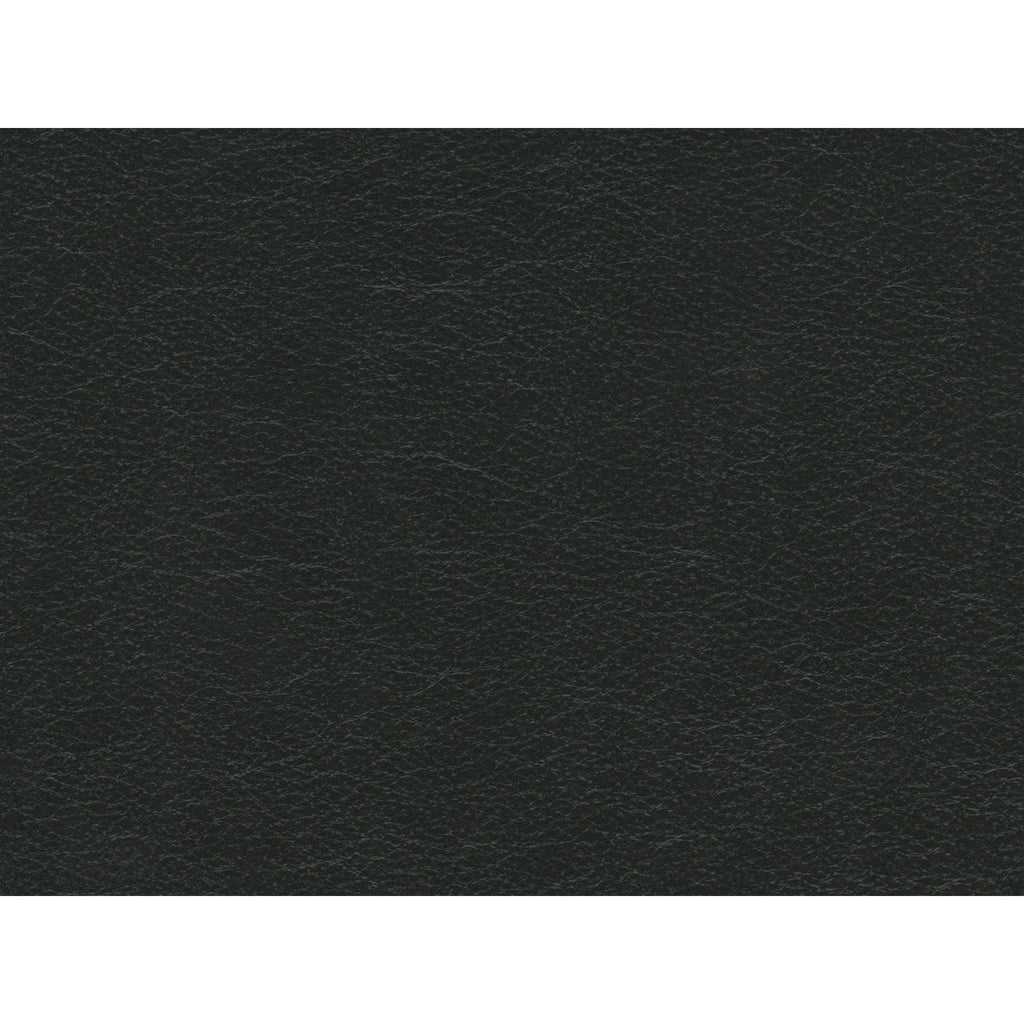 Hampton-Chair-in-Fiero-Charcoal-(Top-Grain-/-PVC)