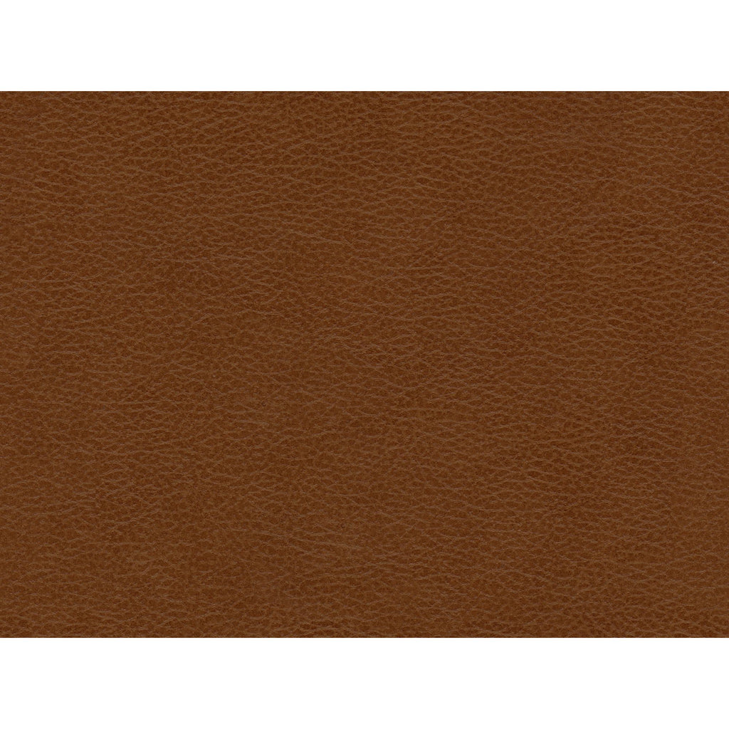 Hampton-Chair-in-Fiero-Tan-(Top-Grain/PVC)