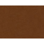Hampton-Loveseat-in-Fiero-Tan-(Top-Grain/PVC)