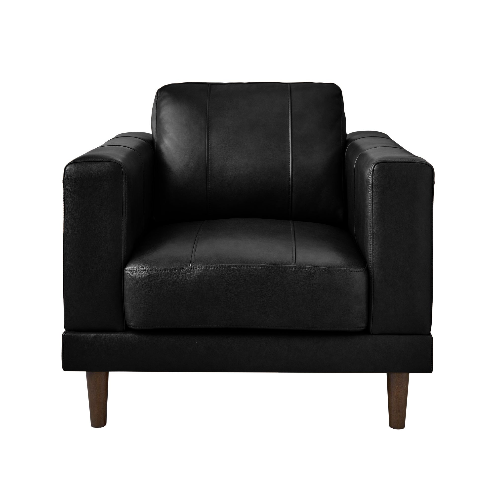 Hampton-Chair-In-Fiero-Black-(Top-Grain/PVC)