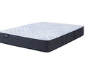 Boxter Nights Firm