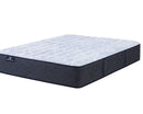 Boxter Nights Medium
