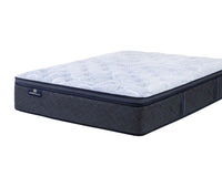 Boxter Night Plush PT