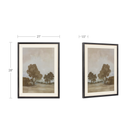 Ash Framed Print