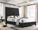 CM5265 Chantilly Black