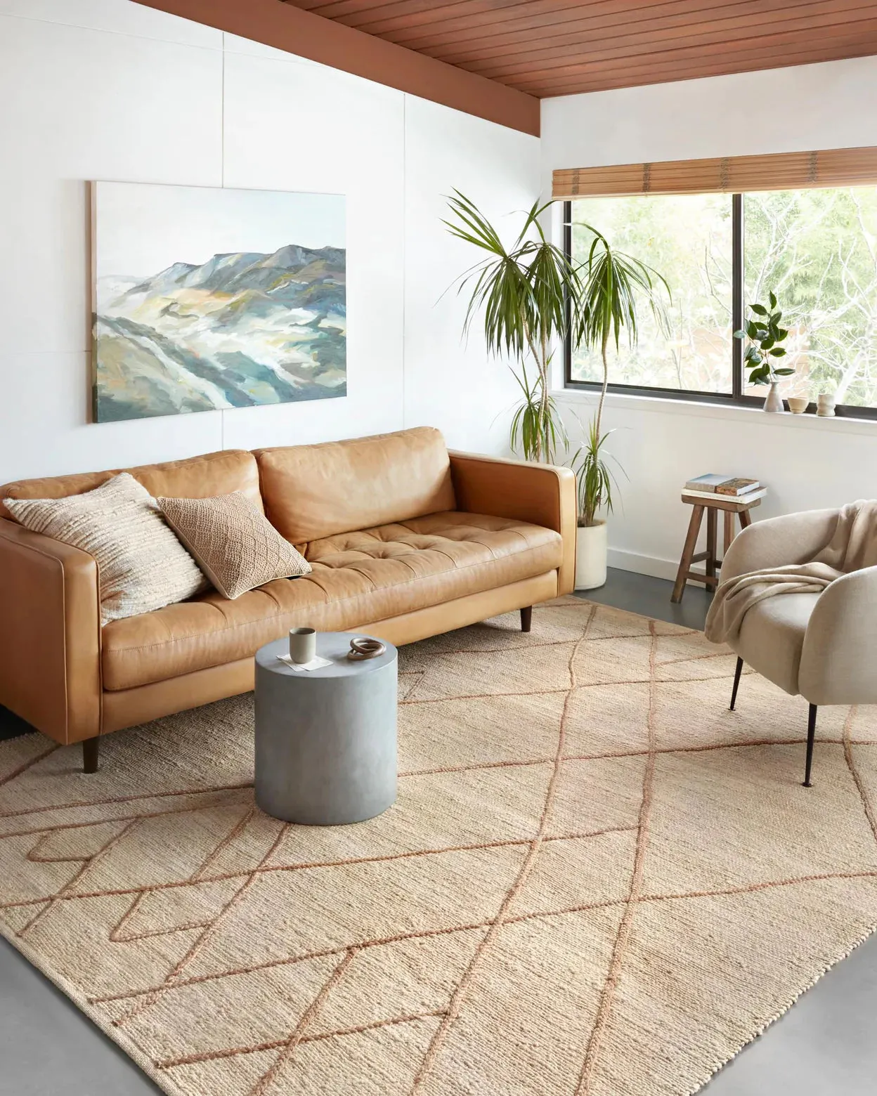 Area Rug Selection