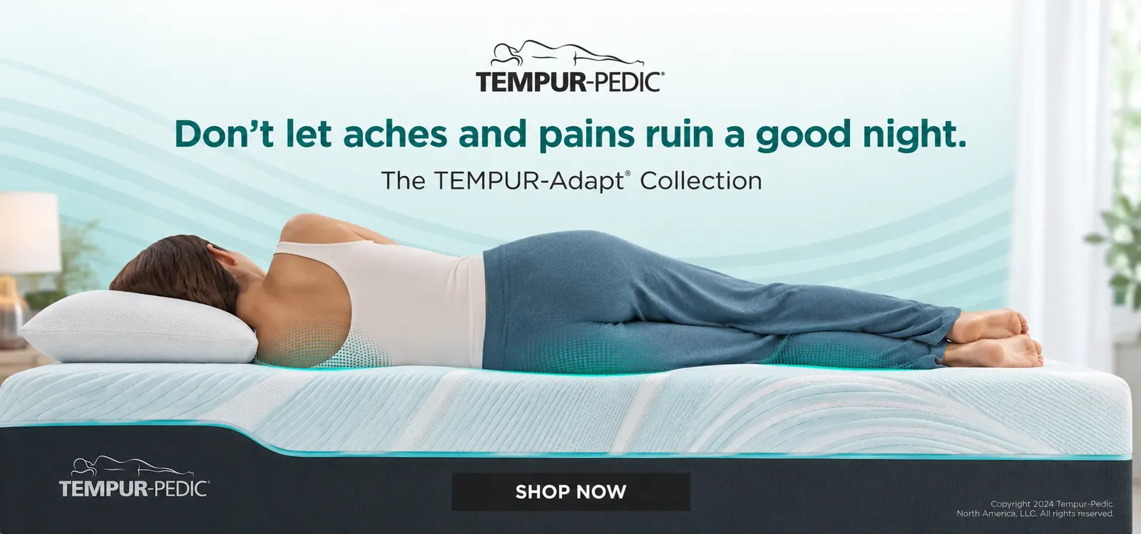 Promotional banner